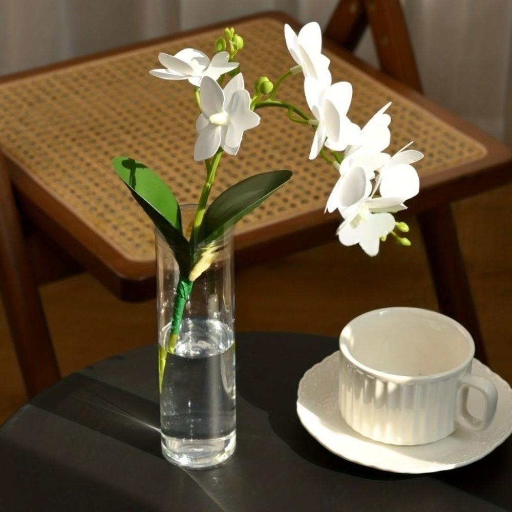 Transparent Flower-Wrapping Vases Plastic Shatterproof Clear Flower Vases Cylindrical Modern Hydroponic Plants Vase Home Decor