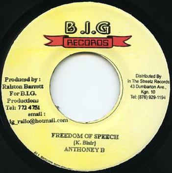 

7inch Record ANTHONY B - Freedom Of Speech NONE B.I.G. Records 2002 Jamaica Reggae, Ska & Dub Used