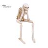 Scary Halloween Atmosphere Props Skeleton Statue, See Speak Hear No Evil Figurines, Unique Statue Collectible Skull Decoration for Indoor Mantel Table