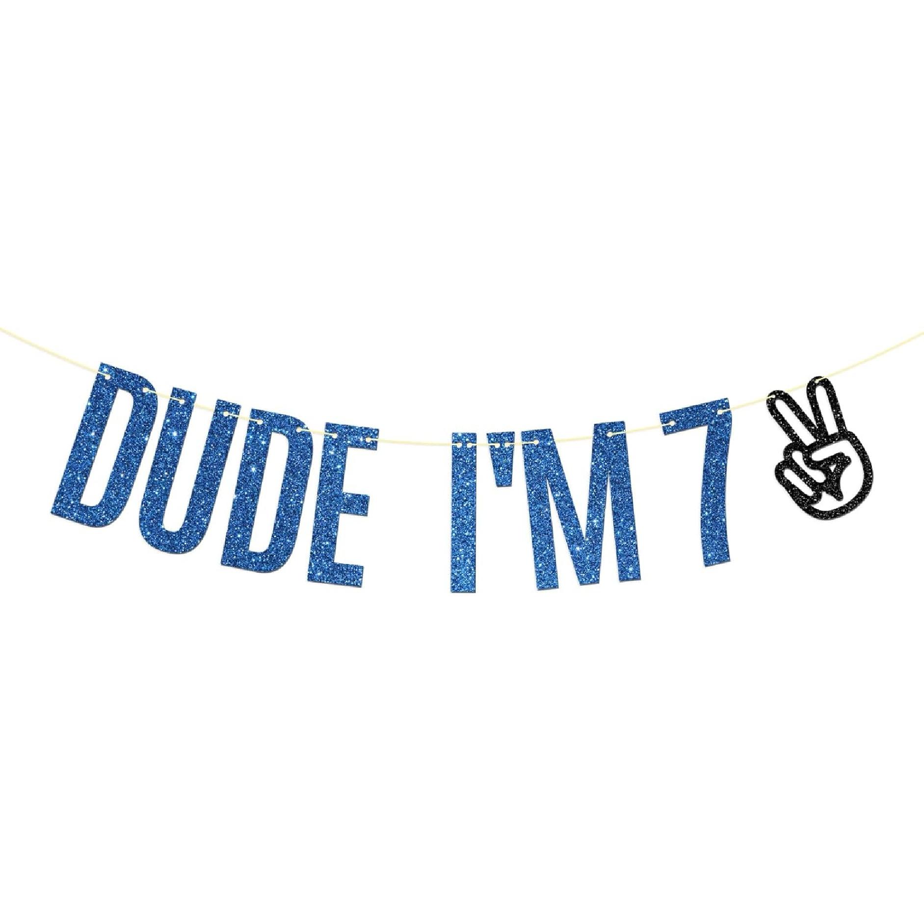 Dill-Dall Dude I m 7 Birthday Banner, Level 7 Unlocked, 7 Year Old Hanging Sign, Boys Happy 7th Birthday Party Decorations Supplies