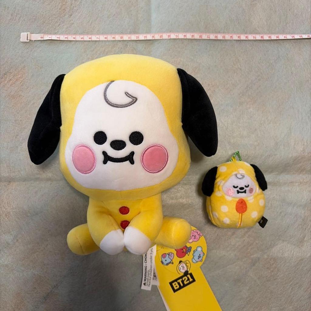 Used BT21 stuffed animal
