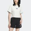 Adidas Originals Trefoil Short Sleeve Tee With Logo Embroidery Women Tops Han-Jade-White IK8671