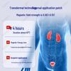 Renhe Prostate Heat Acupoint Patch