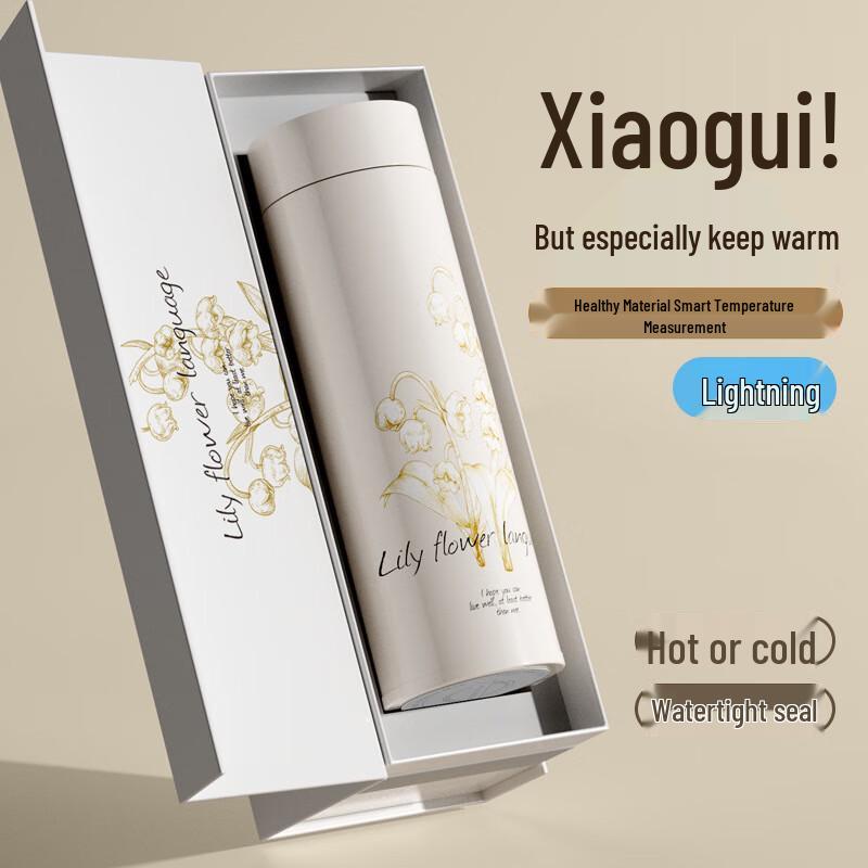 Huazao Baijia WQ 316 SS Insulated Water Bottle 480ML 480ML