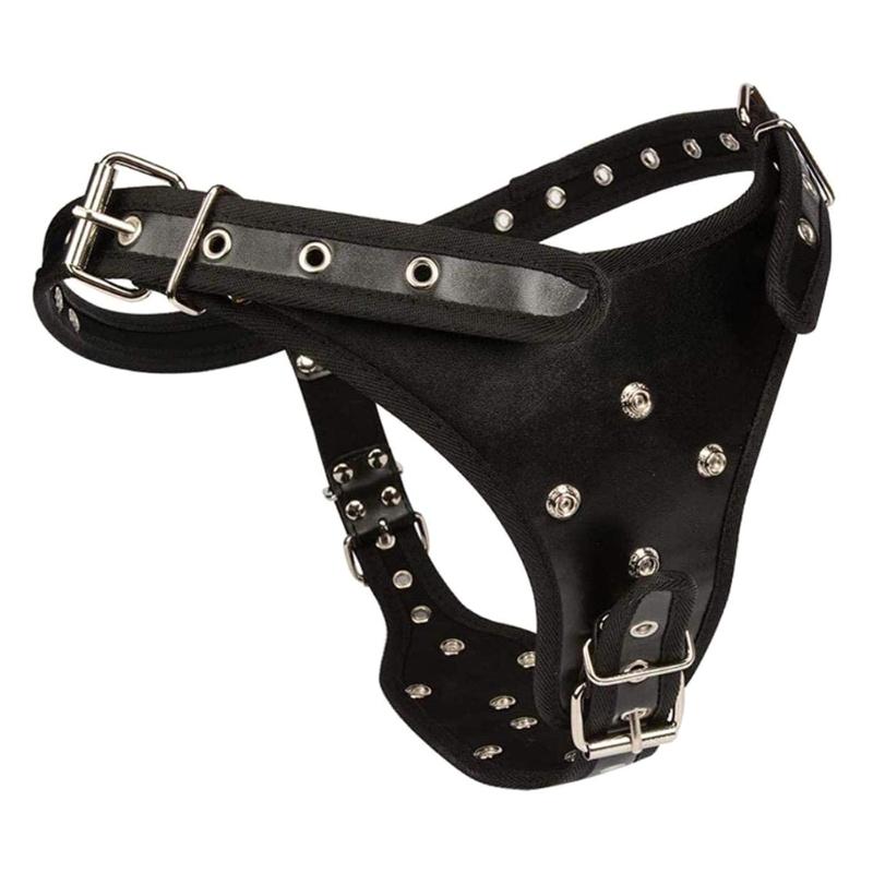 Strap-On with 3 Realistic Dildos  Double Penetrations Lesbians