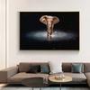 Andromeda Galaxy Photo Modern Wall Art Canvas Print Poster Whimsical Elephant Animal Picture for Living Room Home Decor Cuadros
