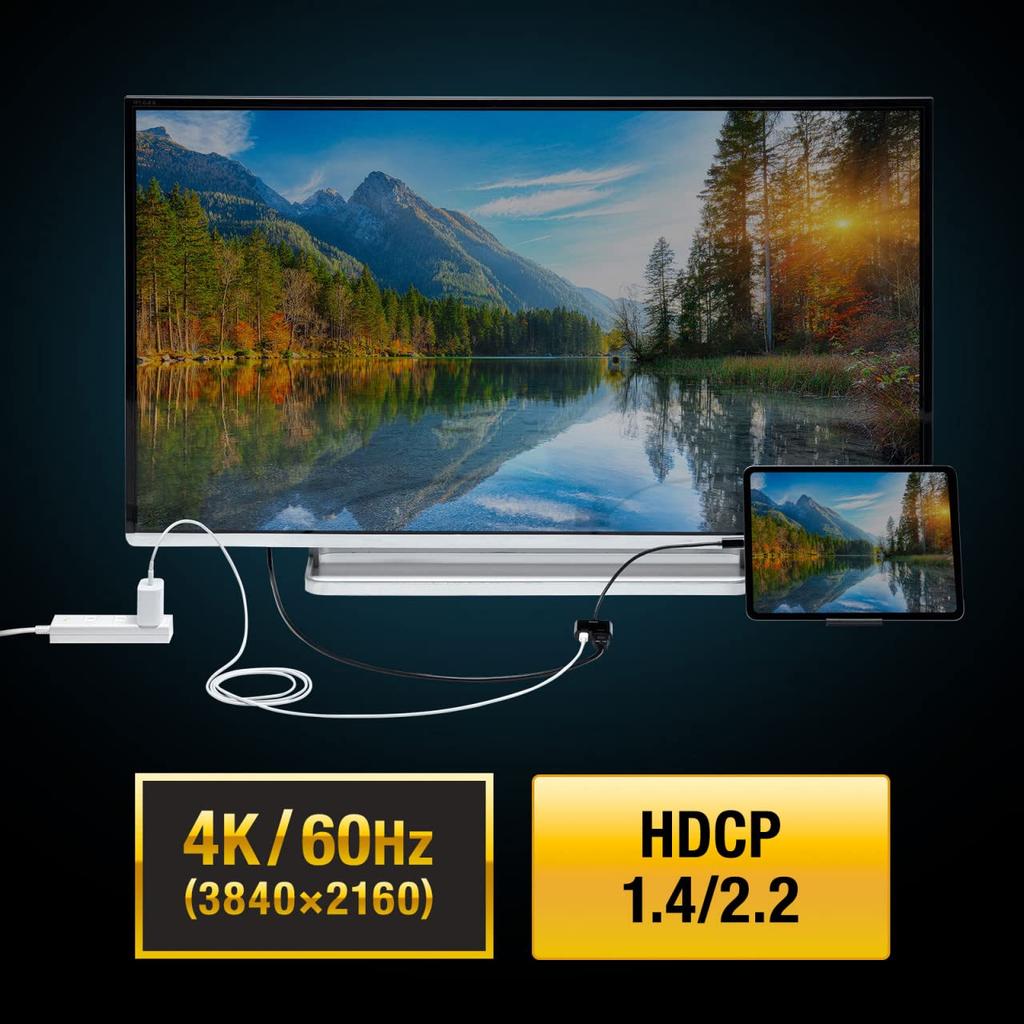 SANWA SUPPLY USB Type C To HDMI Adapter Black (4K/60Hz/PD Compatible) AD-ALCPHDPD