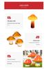 Solar-Powered Waterproof Mushroom Lamp for Outdoor Landscapes 