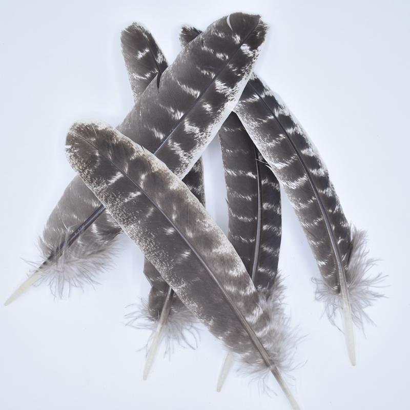 10Pcs/Lot Real Natural Turkey Feather Eagle Bird Feathers For Crafts Birds Plumes Decor Carnaval Accessories Manmade Decorations