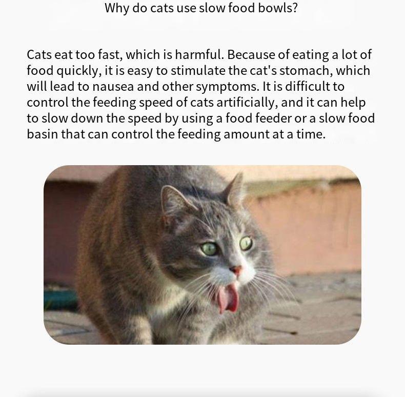 Grenzüberschreitendes Katzenlabyrinth Slow Feeder Puzzle-Napf - Anti-Schling-Trainingsspielzeug