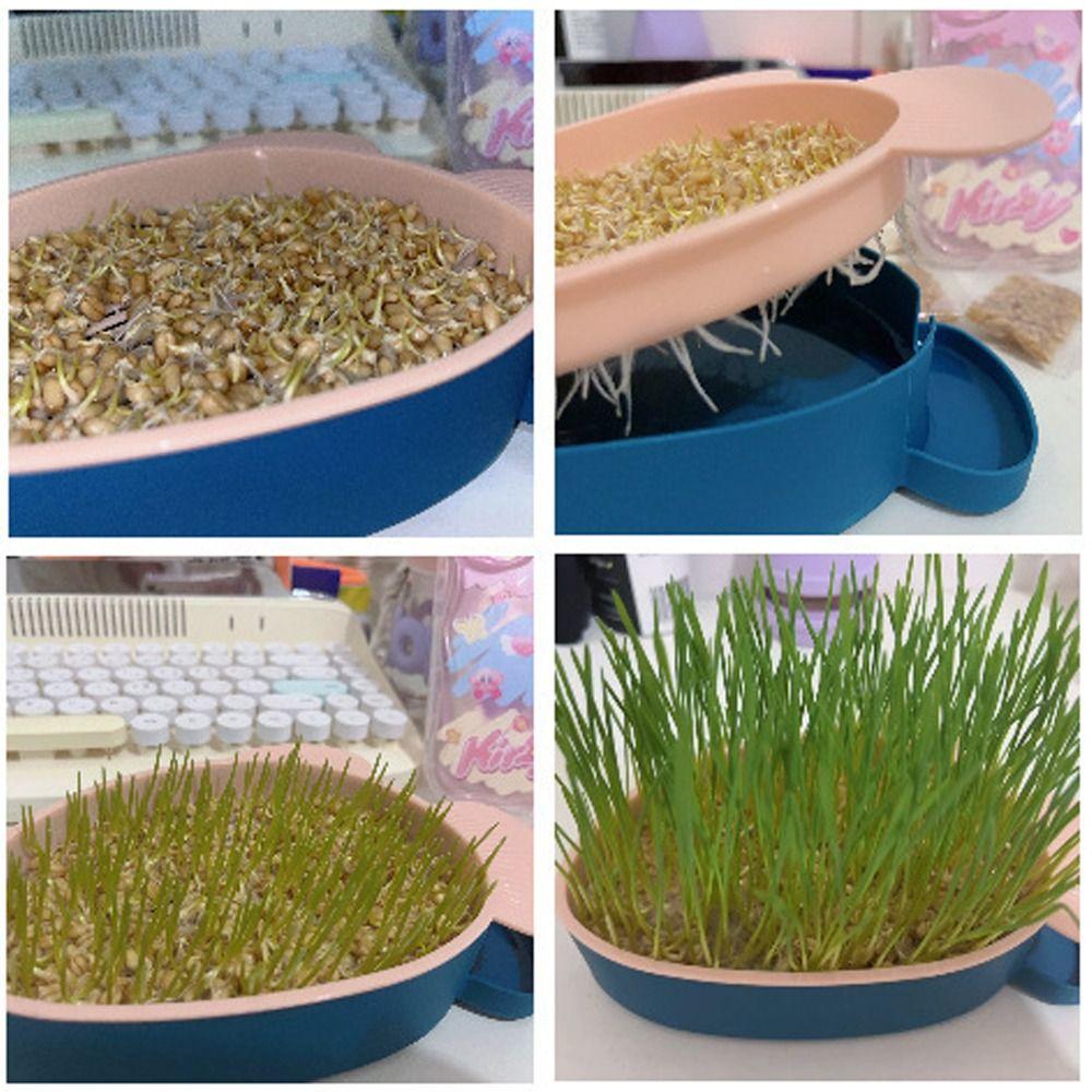 Hierarchical Design Cultivation Sprouting Tray Creative Cat Grass Planting Hydroponic Sprouting Plate Reusable Convenient