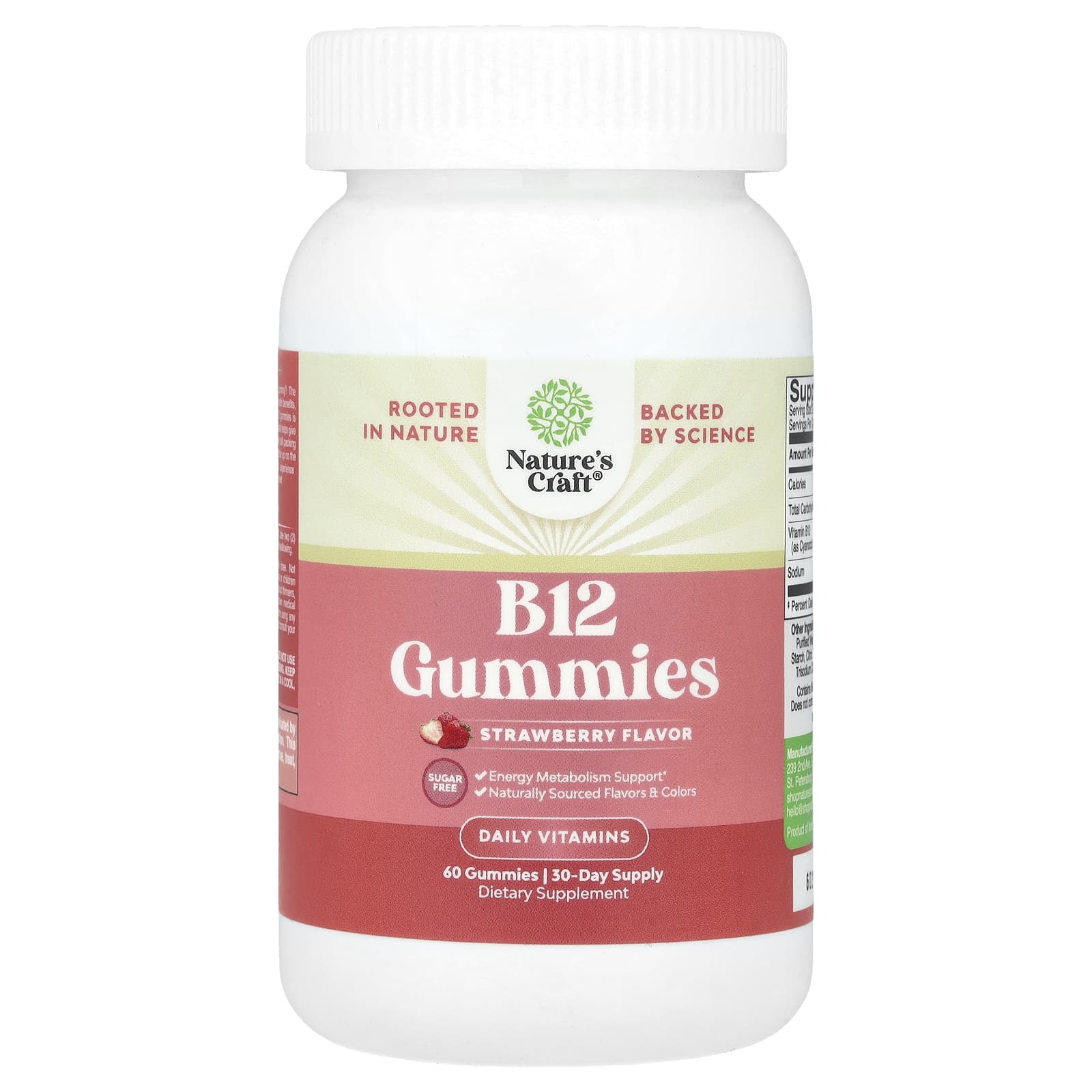 

Nature S Craft, B12 Gummies, Strawberry, 60 Gummies