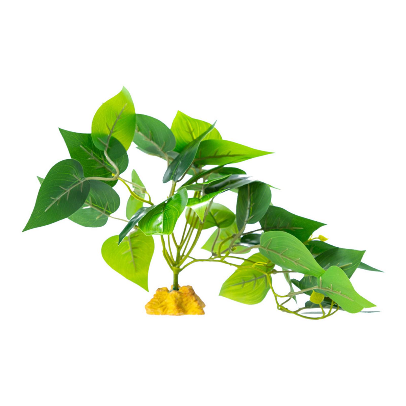 

Аквариумы Рептилии Лазающая трава Террариумное растение Декорация для аквариумов Террариум для земноводных Ящерицы Змея A34