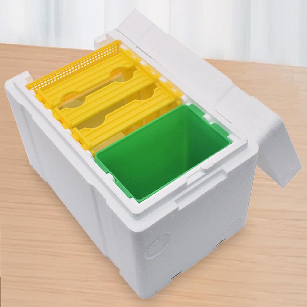 Foam Bee Box Queen Bee Breeding Box Bee Pollination Box Queen Bee Rearing Beehive Beekeeper Suppliers