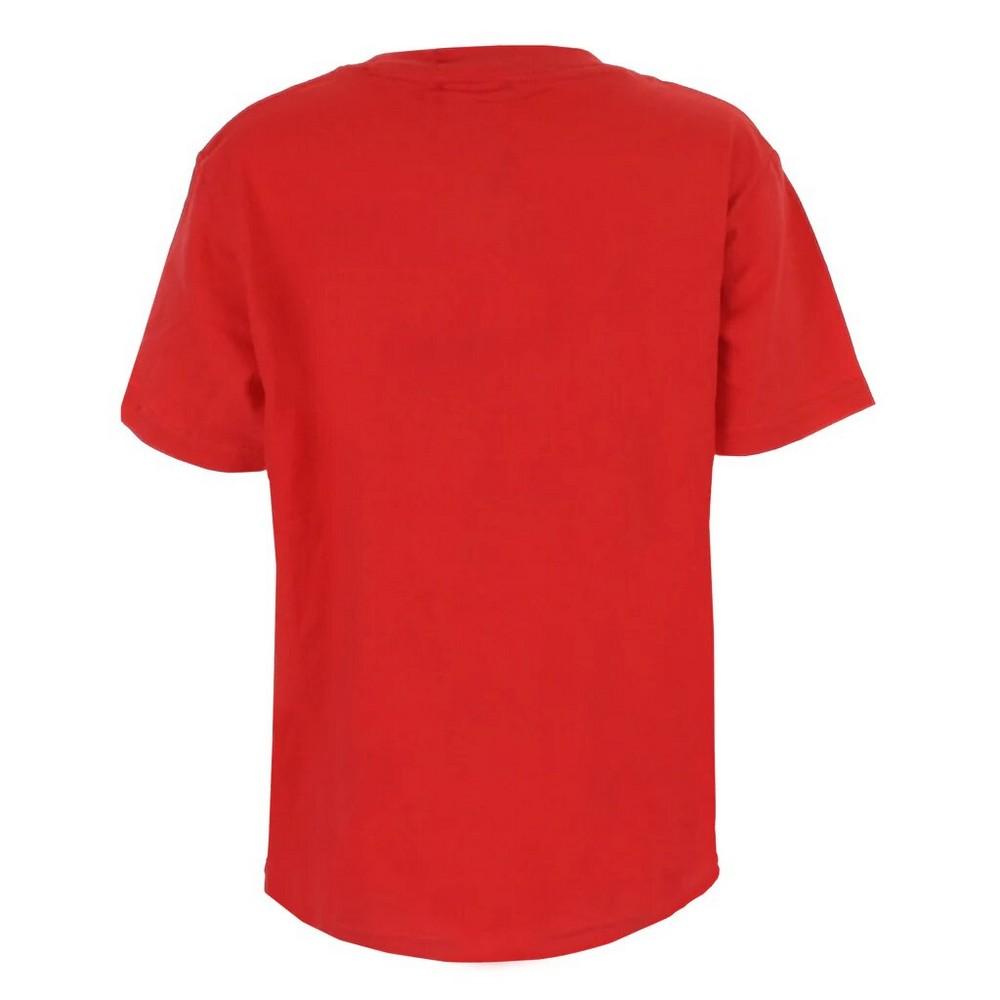 The Flash Boys Distressed Logo Cotton T-Shirt