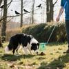 Foldable Dog Poop Scooper Long Handle Waste Cleaning Shovel New Dog Poop Catcher  Park Walks