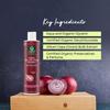 Bio-Shampoo gegen Haarausfall mit Zwiebelextrakt - 250 ml