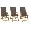 VidaXL Set of 3 Folding Garden Chairs with Cushions, Patio Seats, Dining Chairs, Patio Furniture 3064097