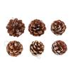 48pcs Christmas Pine Cones Ornaments with String Rustic Pine Cones Fall Decoration for DIY Crafts