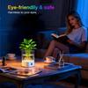 Rechargeable Night Light Gift for Bedroom Bedside Baby Room Breastfeeding Childrens Sleep Lamp Hydroponic Plant Base