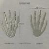 Halloween Decorative Skeleton Hand Prop Haunted House Escape Room Display - PE Plastic Straight Arm Model A To E
