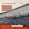 Flame Retardant Thickened Carpet for Offices, Weddings, Shops, Bedrooms, Living Rooms, and Salons