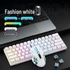 Wired Mechanical Keyboard and Mouse Set with Blue Switches for Gaming and Office