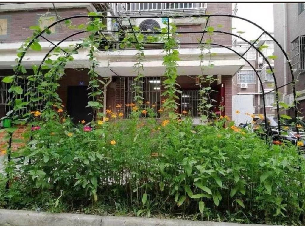 Rust-Proof Arch Trellis: Reinforced Climbing Vine Stand for Indoor/Outdoor Gardens and Courtyards.