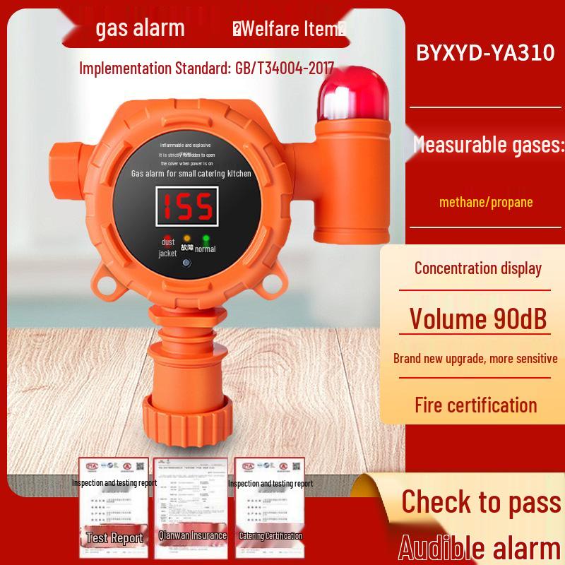 Compact Industrial Gas Alarm for Catering: Wireless Gas Cylinder Leak & Explosion-Proof Detector