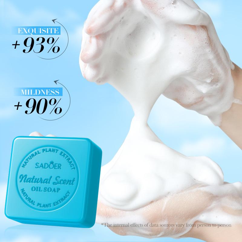 Plant Fruit Soap 100g Cleansing Handmade Soap Skin Care Products
