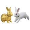TAKARA TOMY Zodiac Ania Animal Dinozaur Figurină Realistă în Mișcare Jucărie Vârste 3 ani și peste Trece Standardele de Siguranță a Jucăriilor Certificare Marcaj ST ANIA TAKARA TOMY