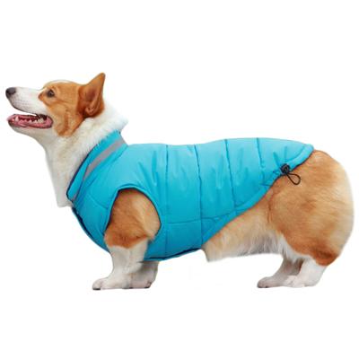Streichel es dann Bär Corgi Hund Baumwollmantel Winter warm Haustierkleidung reflektierend Schnauzer Golden Retriever Hundejacke