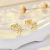 Character Classic Pure Silver Needle Earrings Micro-inlaid Star Earrings Hexagram Earrings Simple and Versatile Temperament Women's Ear Jewelry 2026
