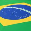 National Brazil Flag Car Engine Cover Brazilian Decoration Elastic Fabrics Truck Full Graphic Decor Bonnet Banner