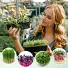 1 Roll 10" X 78.74" Microgreen Grow Mat Natural Fiber Grow Mats Microgreens Grow Kit Hydroponic Pads Indoor Organic Production F