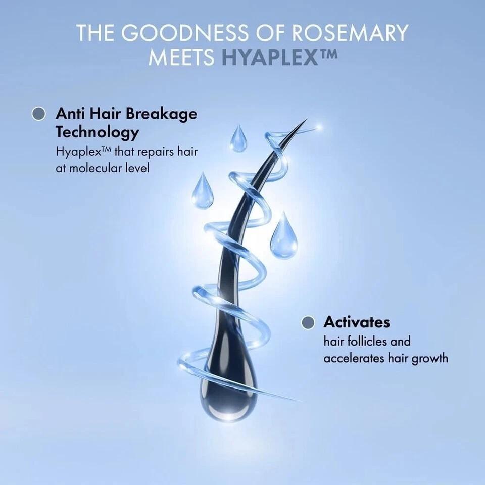 ThriveCo Rosemary Hair Shampoo For Voluminous Hair - (250 Ml)
