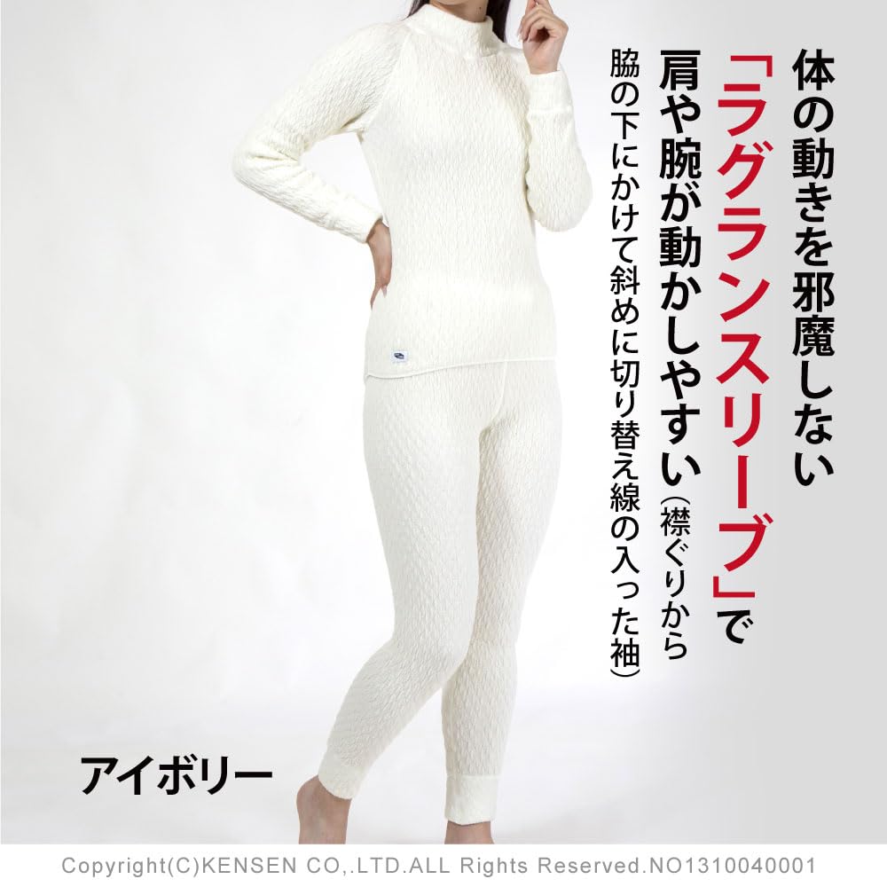 Hidamari Everest Thermal Dark Gray Women's High-Neck Shirt, Innerwear, Sapium, Triple-Layer Construction, Medium, [EVNS841-DGY]