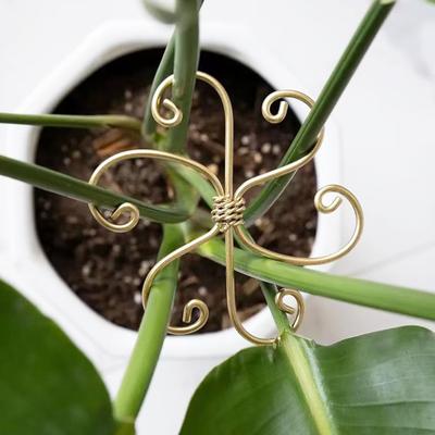 3ks držák na rostliny Snadno použitelné držáky rostlinných stonků Nastavitelný stojan na podporu růstu rostlin pro Monstera Bonsai