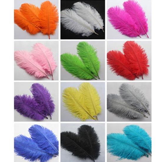 15 Pcs Natural Ostrich Feathers Colored Soft Feather for Clothes Wedding Decor