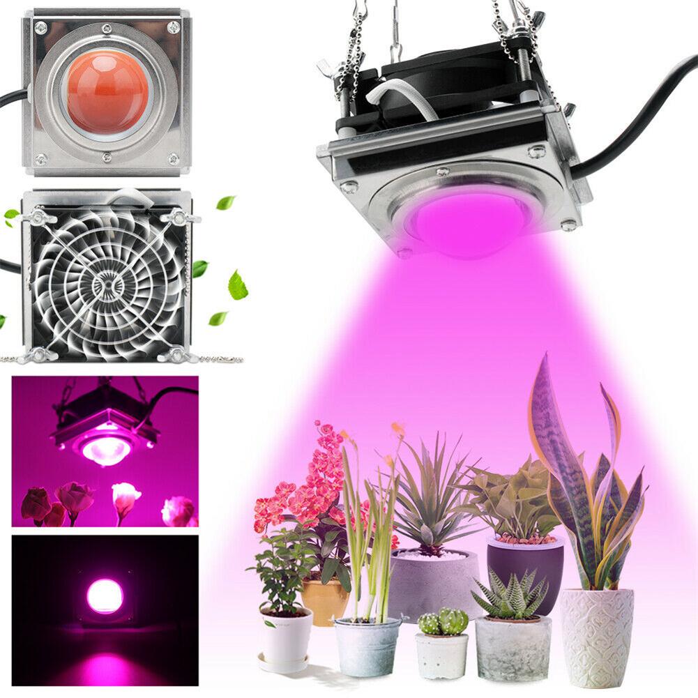 

3000w Cob Led Grow Light With Fan Plant Hydroponic Flower Vegetable Full Spectrum Lamp UK plug-220V#1