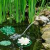 Floating Flowers Artificial Realistic Fake Water Lily Pool Decorations For Rain Backyard Lake Centerpieces Valley Meditation