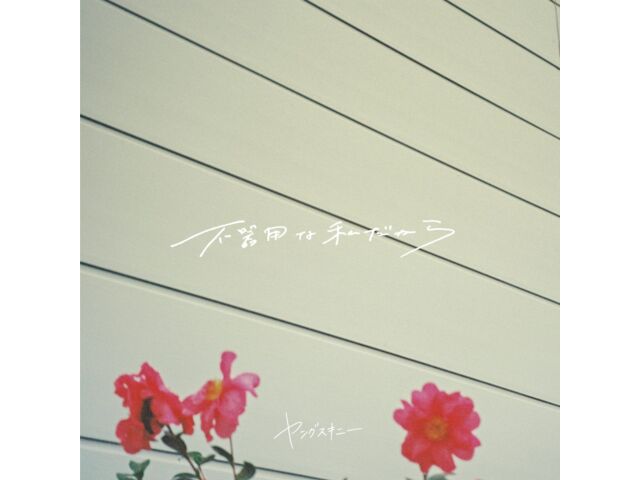 

[CD] Bukiyo na Watashi dakara Normal Edition Yangskinny VICL-65930 J-Pop EP NEW