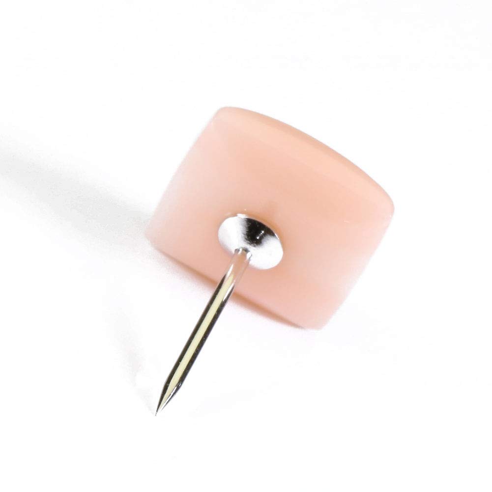Pink Coral Miss Coral Tie Tack Undyed [Sansui]