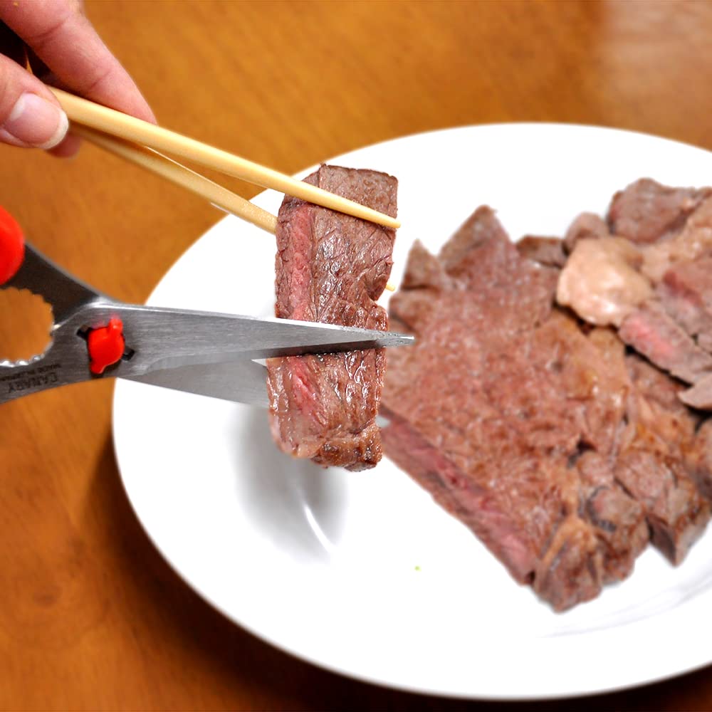 Hasegawa Besteckschere für Tisch- und Küchengebrauch Rot TH-175