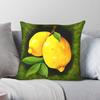 Lemons Fruit Square Pillowcase Polyester Linen Velvet Printed Zip Decorative Pillow Case Home Cushion Cover Wholesale 18"