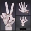 Super Movable 1:1 Hand Model, Finger Joint, Bionic, Painting Plain Art, Model Ornament Boxed Figure
