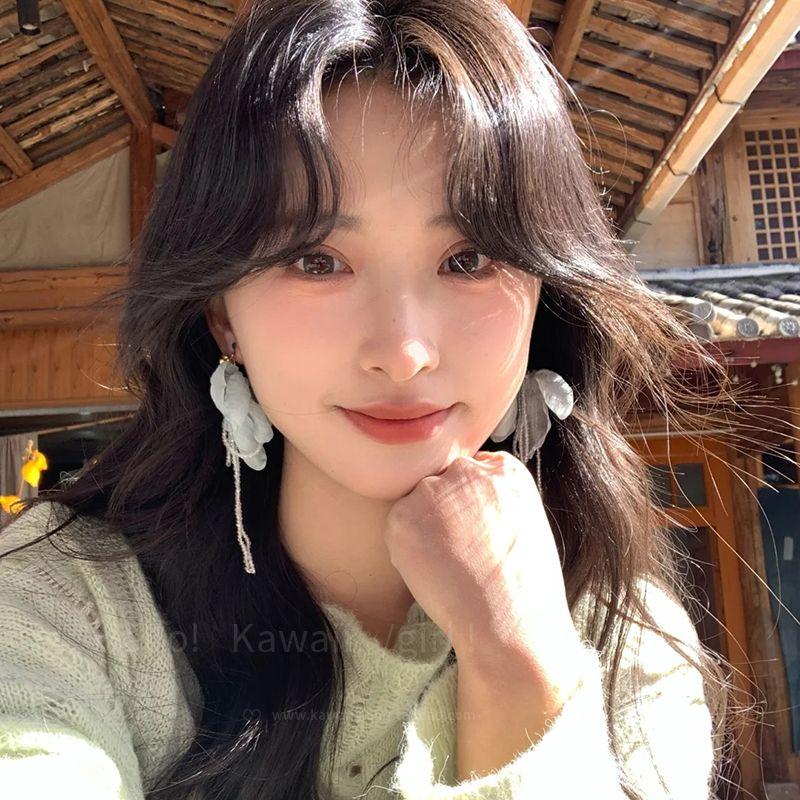 

Spring Atmosphere Fairy Flower Earrings Women Mint Green Chiffon Holiday Style Ear Studs Gentle Temperament Tassel Earrings Mint green flower tassel earrings