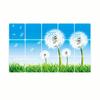 Oil-proof Kitchen Wall Sticker Rose Tulip Flower Dolphin Dandelion Self-adhesive Waterproof