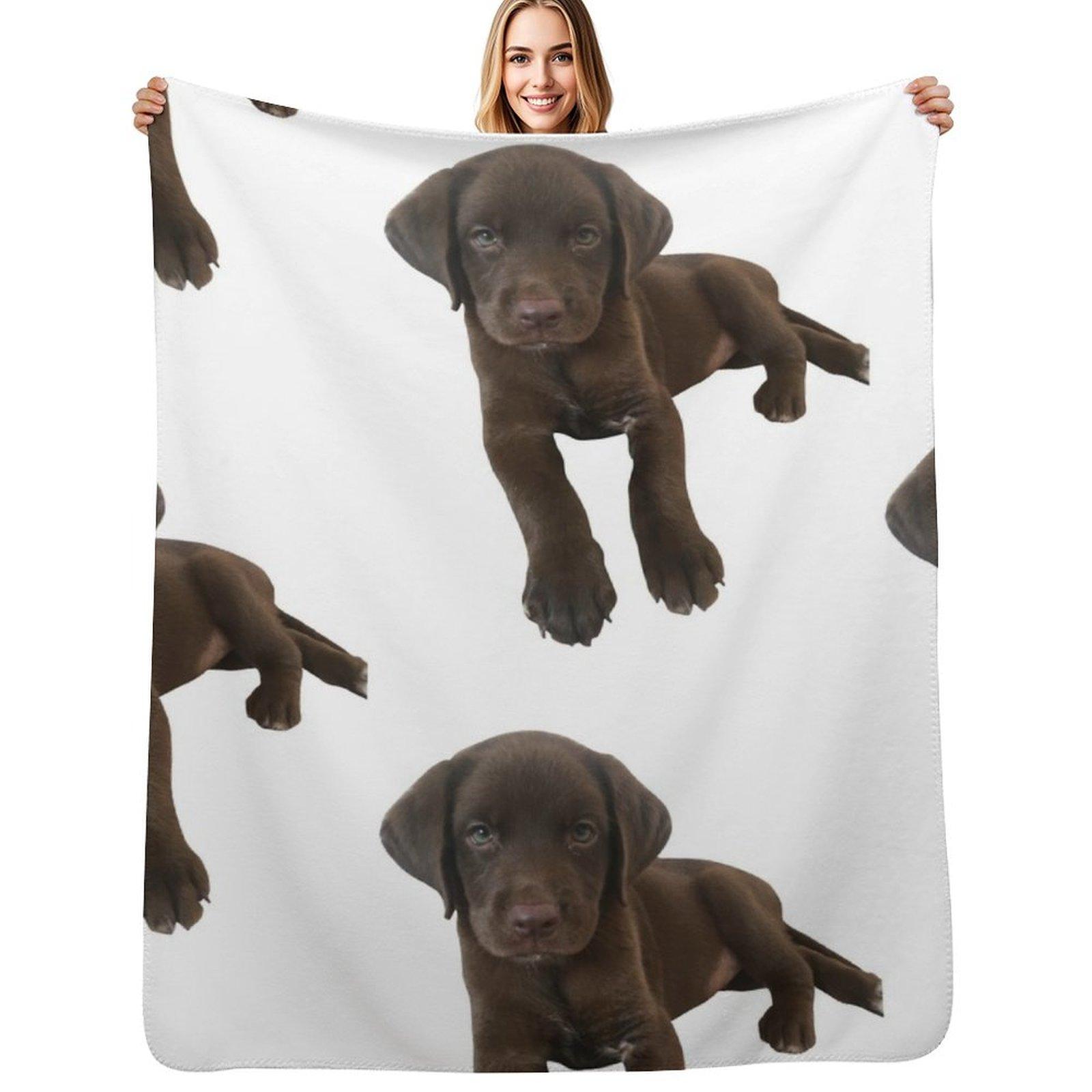 Chocolate Labrador Throw Blanket Soft Comfort Blanket for Reading Watching TV Size: 75*100cm, Weight: 230 GSM