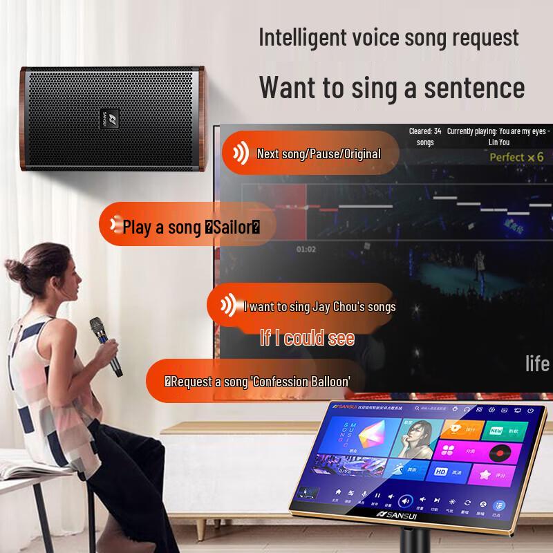 SANSUI H15 Home KTV Audio System CN plug (adapter included) (CN version)